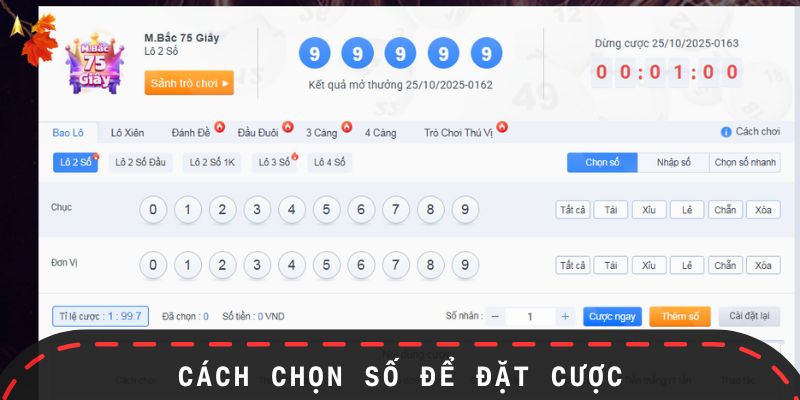 Cách chọn số may mắn để chơi trong ngày